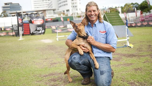 Dave Graham has helped transform 70 rescue dogs into superstars. Pictures: Phil Rogers