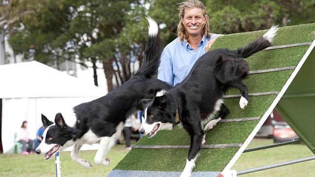 Dave with two border collies who have their eyes firmly set on the prize.