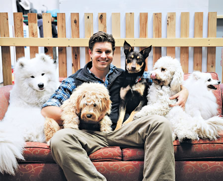 David Graham (aka Farmer Dave) training dogs in Melbourne