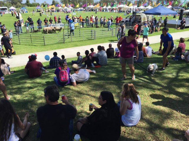 Blacktown Show November 2015 2