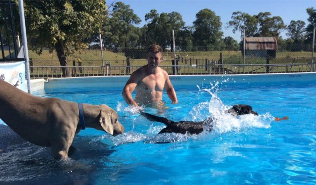 Swimming with Dogs