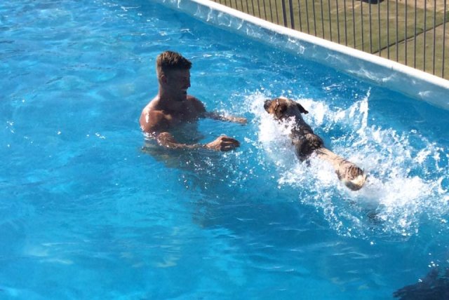 Swimming with Dogs