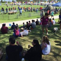 Blacktown Show November 2015 2