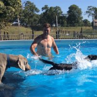 Swimming with Dogs