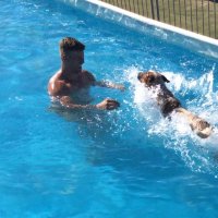 Swimming with Dogs