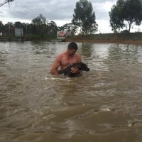 Swimming with Dogs 2015