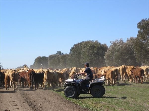 Farm May 2005 153