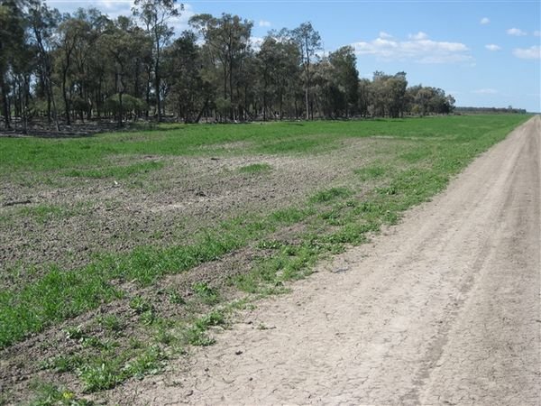 Farm Aug 2007 092