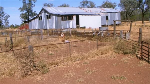 Farm May 2008 56