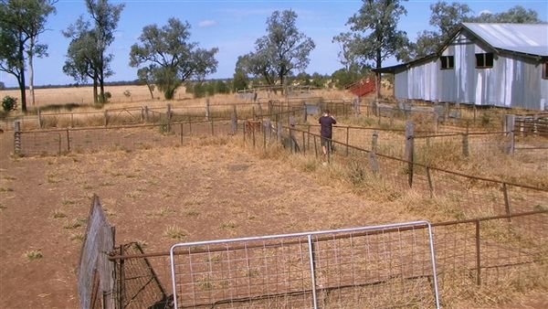 Farm May 2008 57