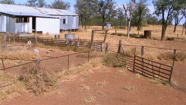 Farm May 2008 58