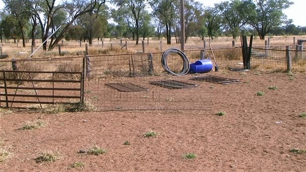 Farm May 2008 59