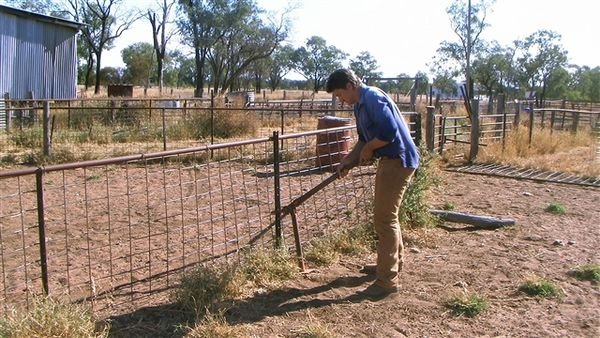 Farm May 2008 63