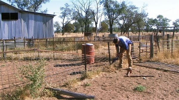 Farm May 2008 65