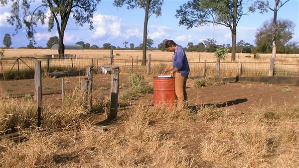 Farm May 2008 71