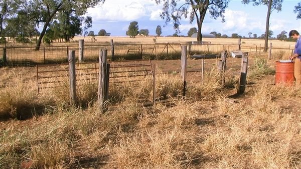 Farm May 2008 72