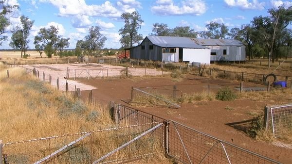 Farm May 2008 74