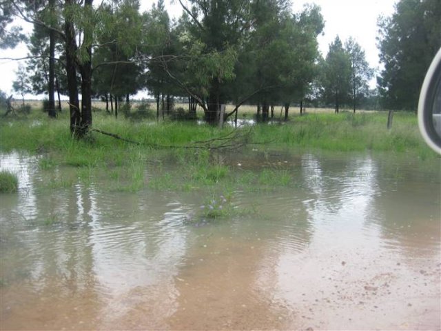 floods_Dec_2010_335