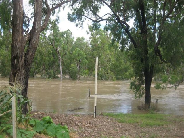 floods_Dec_2010_365
