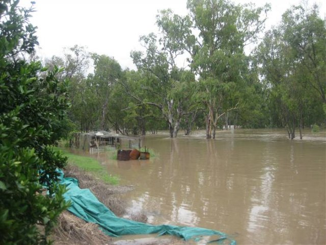 floods_Dec_2010_385