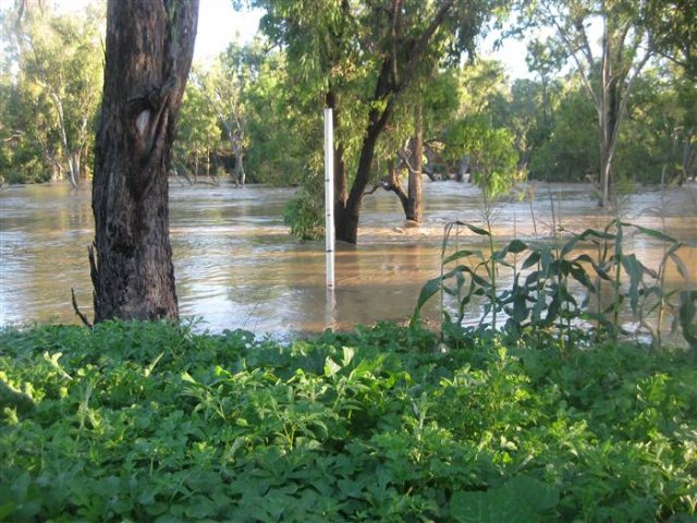 floods_Dec_2010_435
