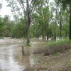 floods_Dec_2010_366