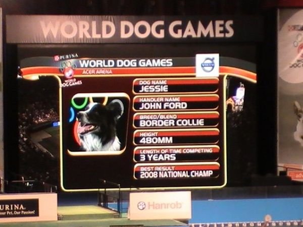 World Dog Games 8620