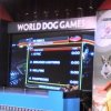 World Dog Games 1272