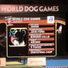 World Dog Games 8620