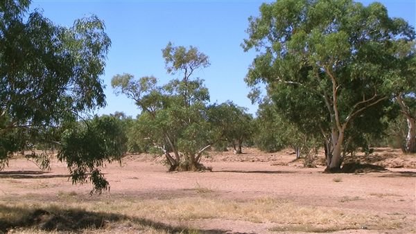 Central Australia 1051