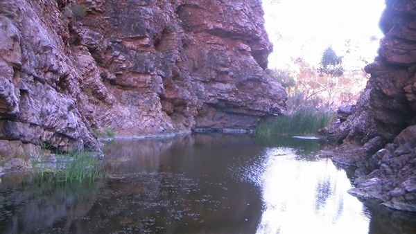 Central Australia 1150