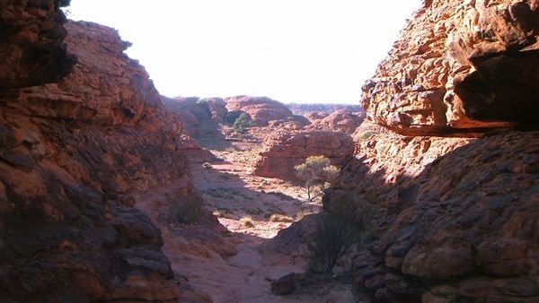 Central Australia 1263