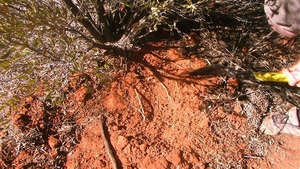 Central Australia 1350