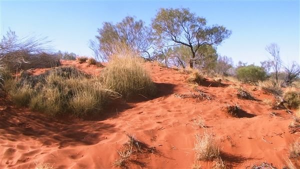 Central Australia 1373