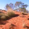 Central Australia 1373