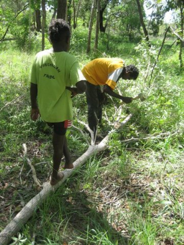 Aurukun Honey Hunting  06