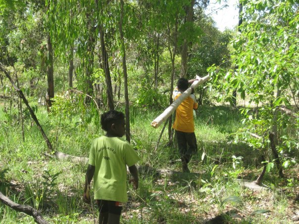 Aurukun Honey Hunting  07