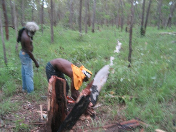 Aurukun Honey Hunting  11