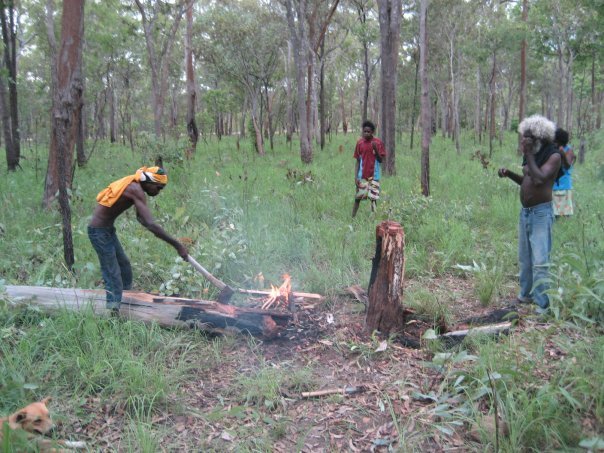 Aurukun Honey Hunting  15