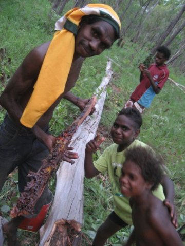 Aurukun Honey Hunting  17