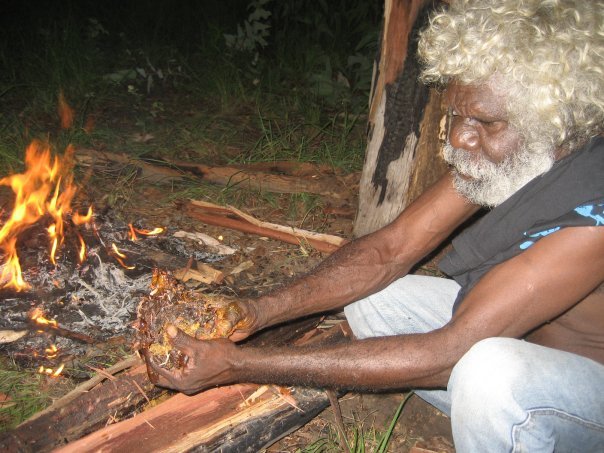 Aurukun Honey Hunting  18