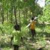 Aurukun Honey Hunting  07