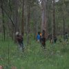 Aurukun Honey Hunting  10