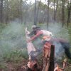 Aurukun Honey Hunting  13