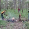 Aurukun Honey Hunting  15