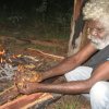 Aurukun Honey Hunting  18