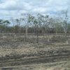 cairns to aurukun 02