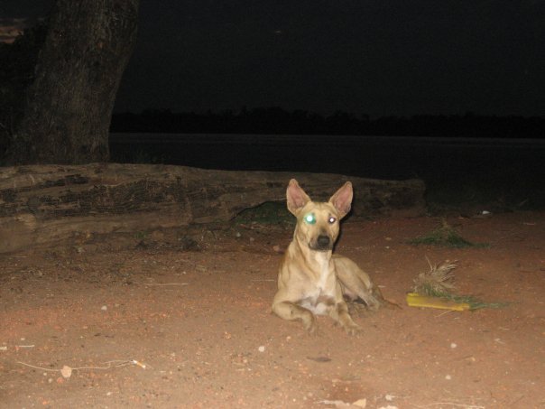 Aurukun Days 16