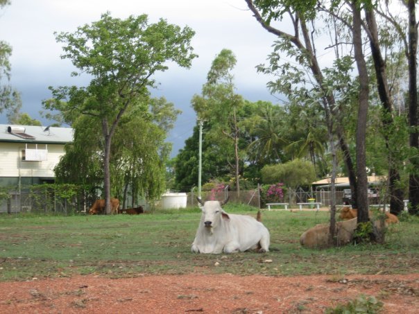 Aurukun Days 37