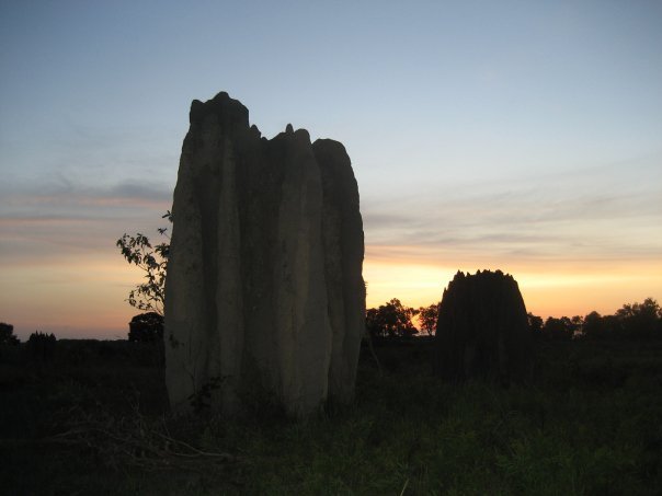 Aurukun Days 40